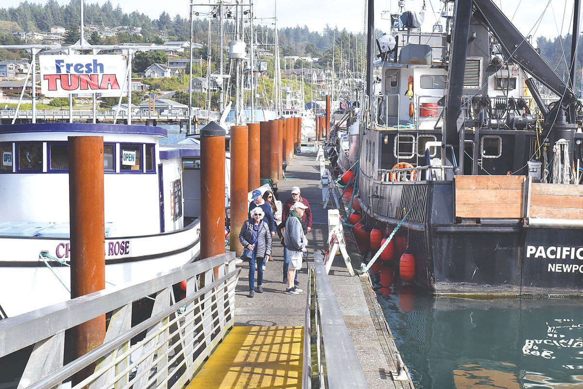 sightseeing-on-the-dock